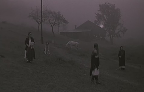 塔可夫斯基（Tarkovsky）的电影《乡愁》（Nostalgia）