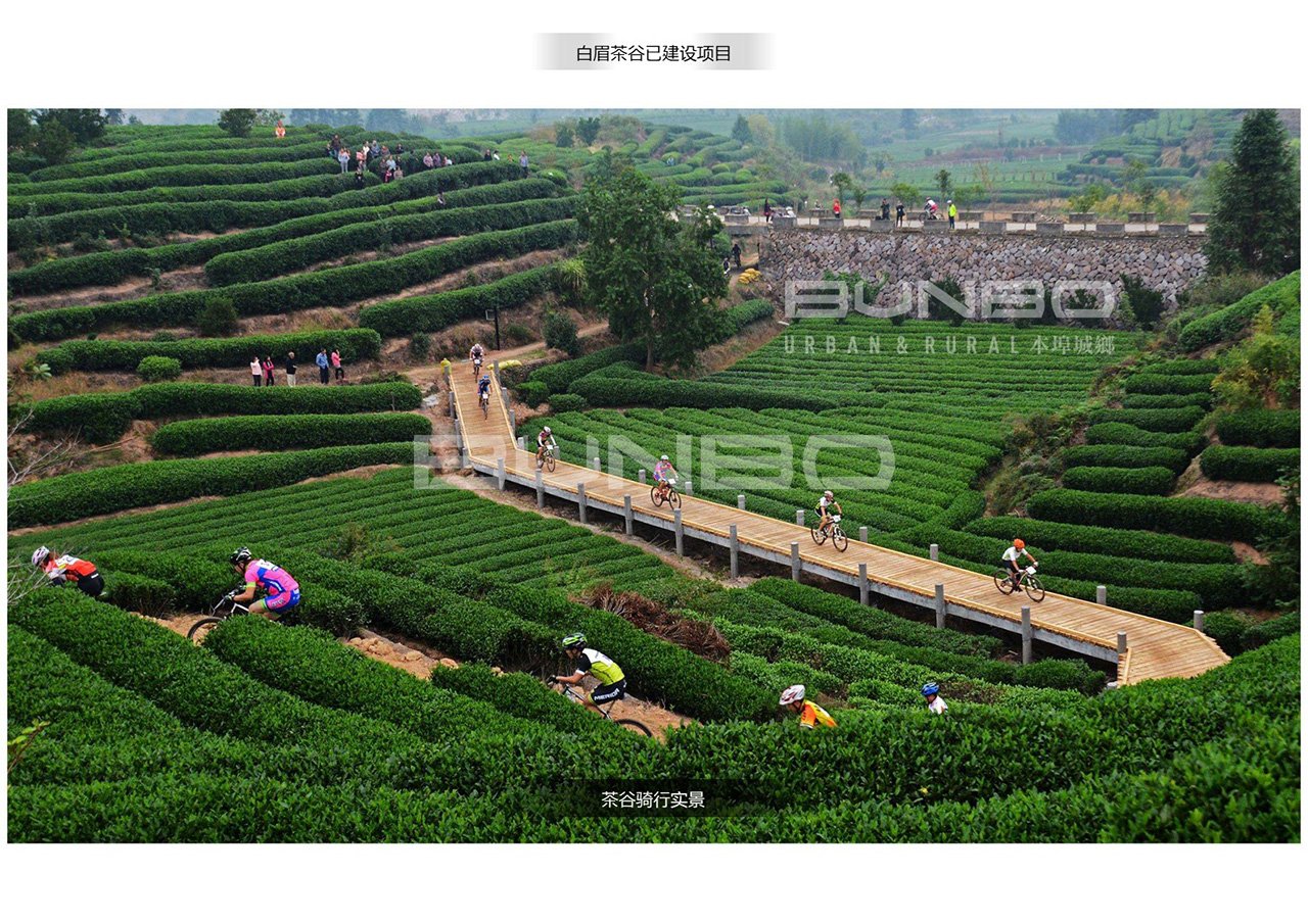 上饶白眉茶谷田园综合体实蠊