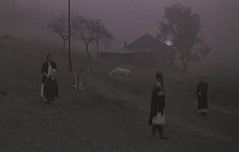 塔可夫斯基（Tarkovsky）的电影《乡愁》（Nostalgia）
