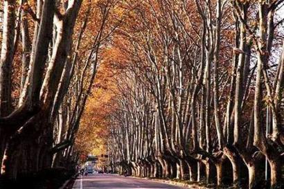 没有设计师的公共场所是充满诗意、充满人性和充满故事的。