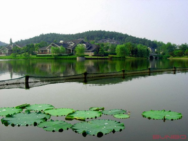 杭州绿城桃花源