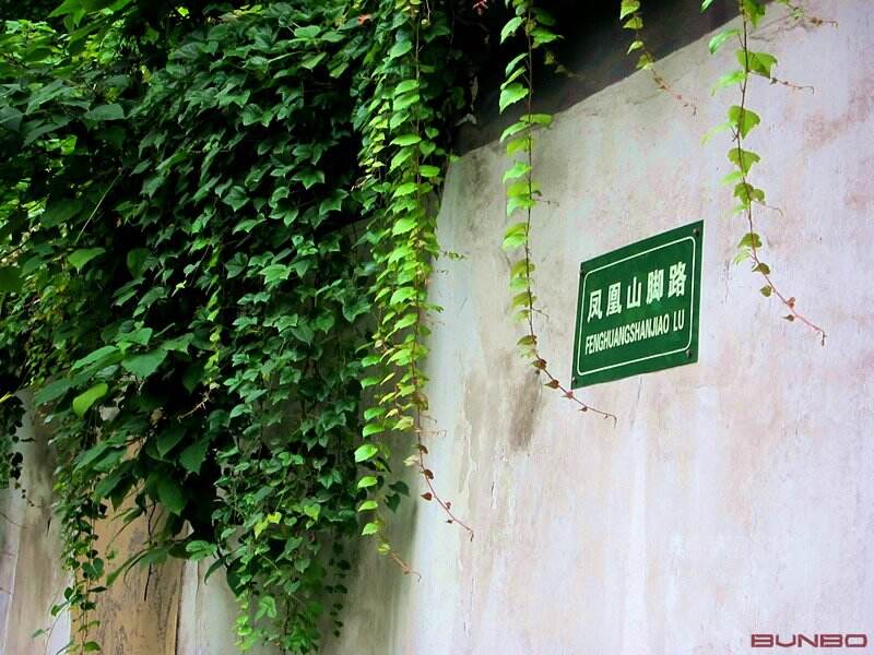 本埠广告杭州凤凰山脚办公室启用，地址为凤凰山脚路7号。