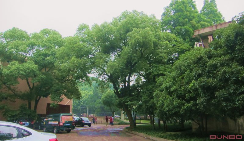 本埠广告杭州凤凰山脚办公室启用，地址为凤凰山脚路7号。