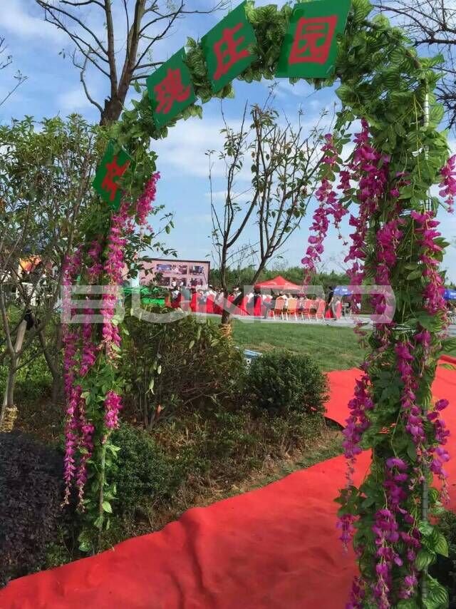 蓝天玫瑰园开辟玫瑰农场厨王争霸赛