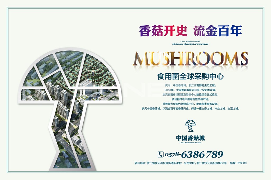 中国香菇城，亚洲最大香菇原产地市场