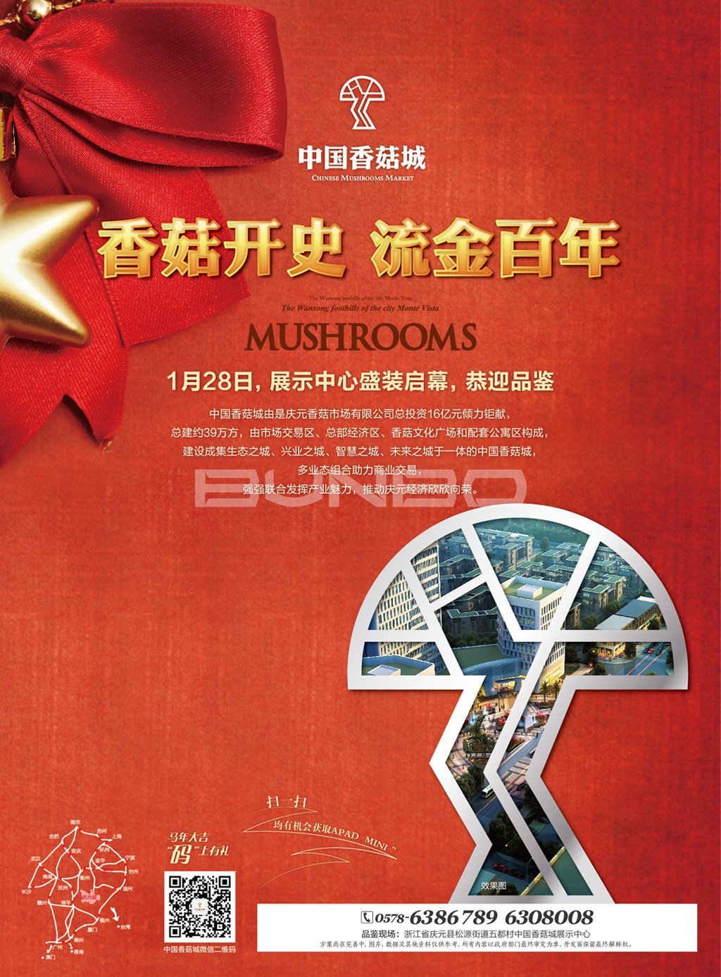 中国香菇城，亚洲最大香菇原产地市场