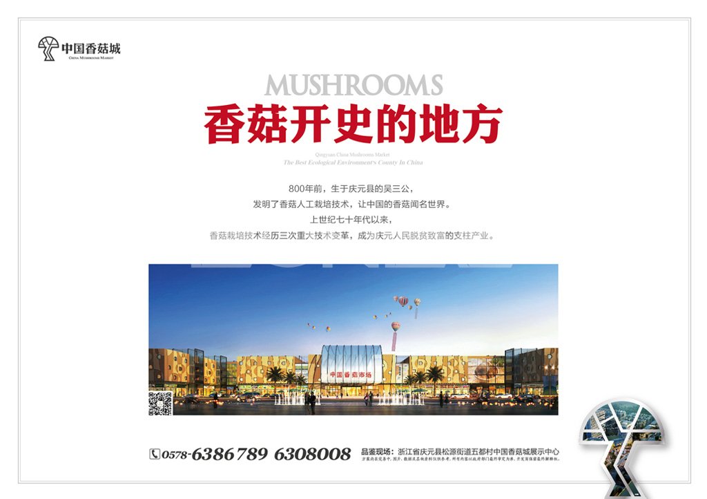 中国香菇城，亚洲最大香菇原产地市场