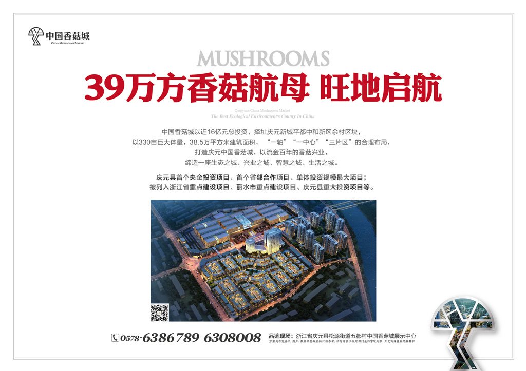 中国香菇城，亚洲最大香菇原产地市场