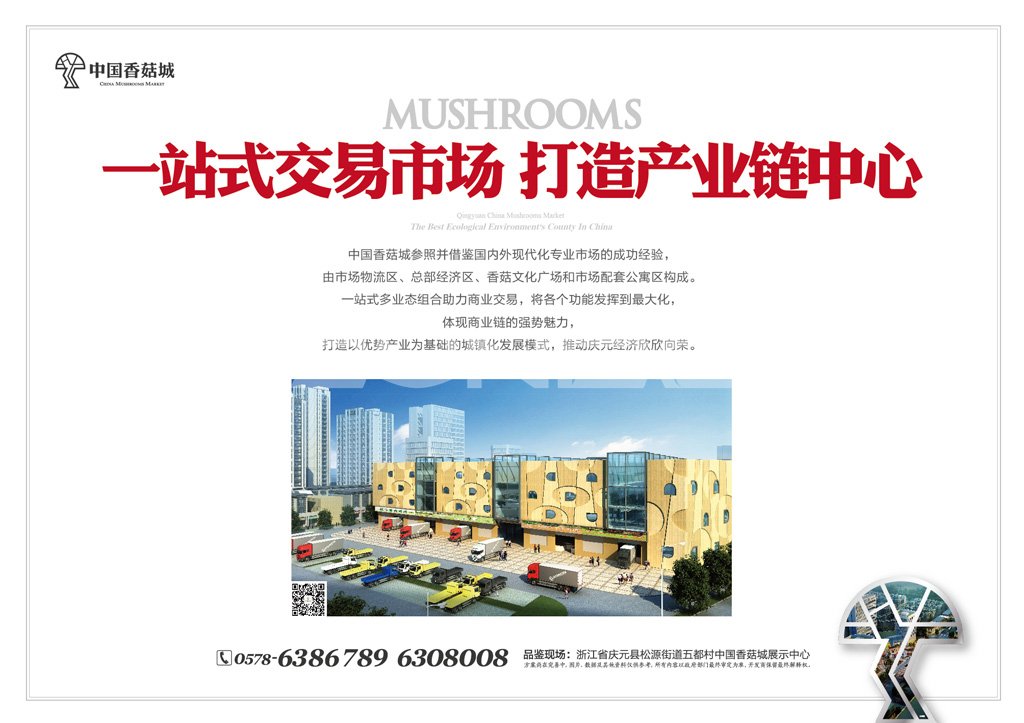 中国香菇城，亚洲最大香菇原产地市场