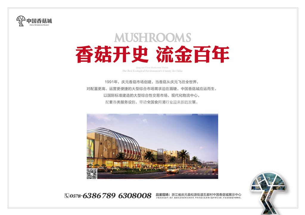 中国香菇城，亚洲最大香菇原产地市场