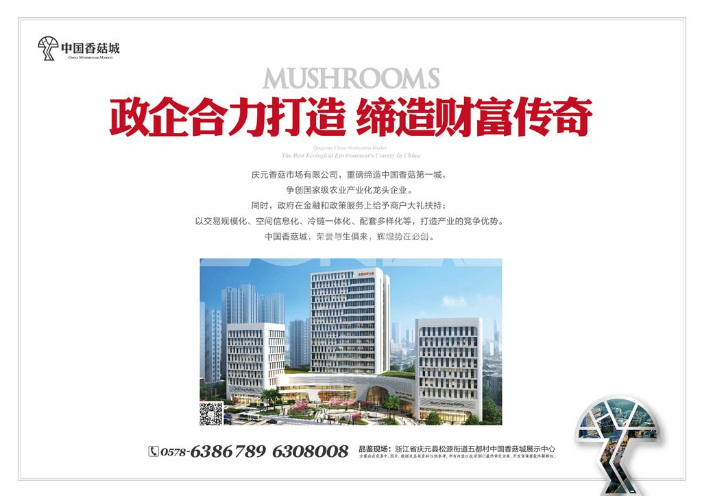 中国香菇城，亚洲最大香菇原产地市场