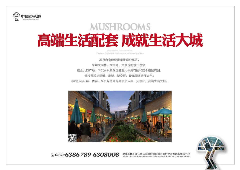 中国香菇城，亚洲最大香菇原产地市场