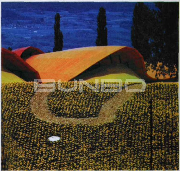 荷兰建筑与园林