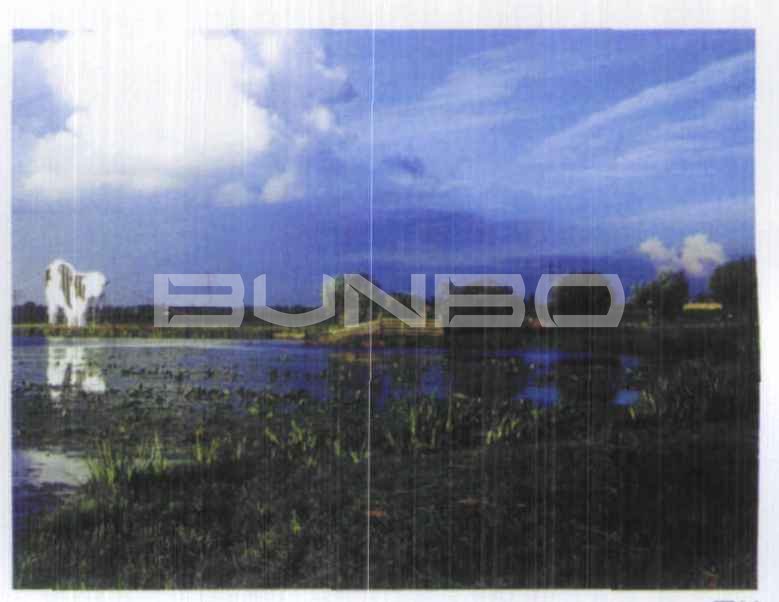 荷兰建筑与园林