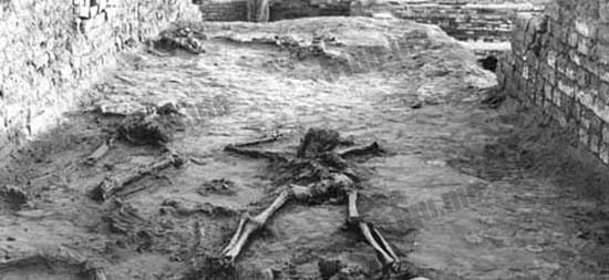 有街道上的行人