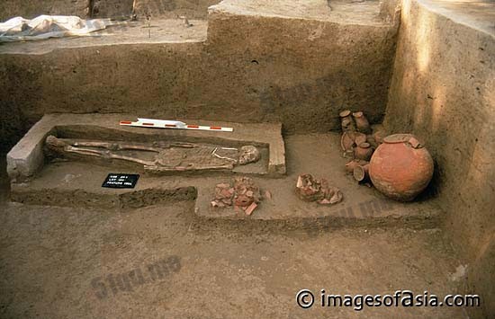 这个看上去明显是在家睡觉