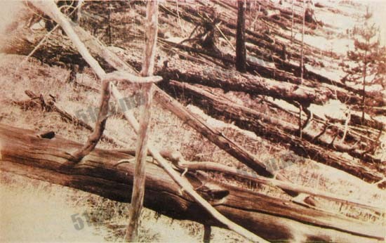 库列克于1927年考察爆炸地点时所拍摄的照片