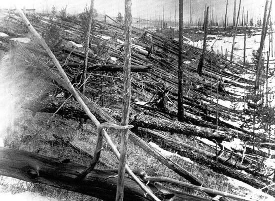 库列克在1927年时所见倾倒的树，这时通古斯大爆炸已过了19年