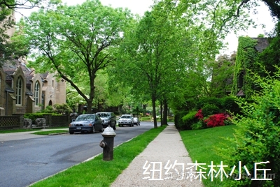 美国纽约皇后区（Queens）的一个森林小丘（Forest Hills）