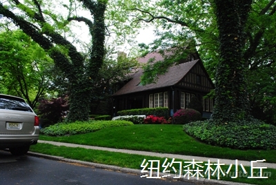 美国纽约皇后区（Queens）的一个森林小丘（Forest Hills）