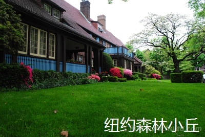 美国纽约皇后区（Queens）的一个森林小丘（Forest Hills）