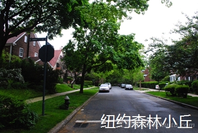 美国纽约皇后区（Queens）的一个森林小丘（Forest Hills）