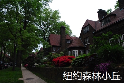美国纽约皇后区（Queens）的一个森林小丘（Forest Hills）