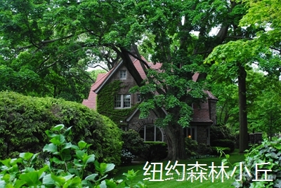 美国纽约皇后区（Queens）的一个森林小丘（Forest Hills）