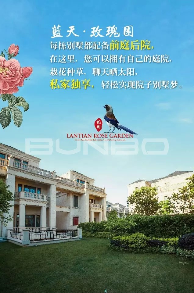 蓝天玫瑰园微信-本埠广告2015年互动传播作品