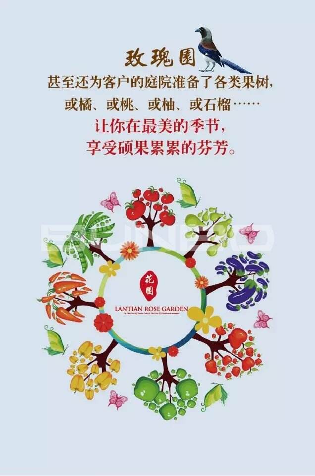 蓝天玫瑰园微信-本埠广告2015年互动传播作品