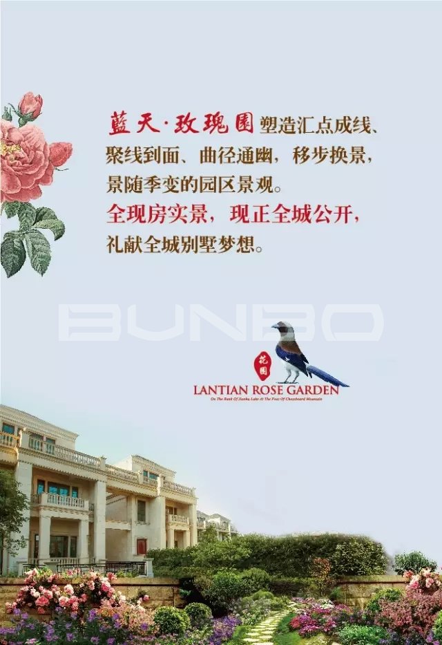 蓝天玫瑰园微信-本埠广告2015年互动传播作品