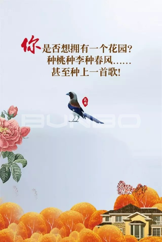 蓝天玫瑰园微信-本埠广告2015年互动传播作品