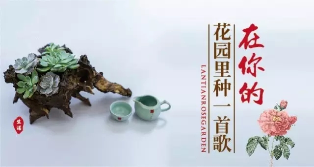 蓝天玫瑰园微信-本埠广告2015年互动传播作品