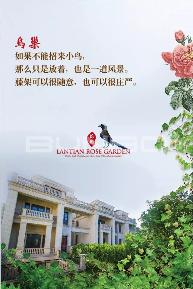 蓝天玫瑰园微信-本埠广告2015年互动传播作品
