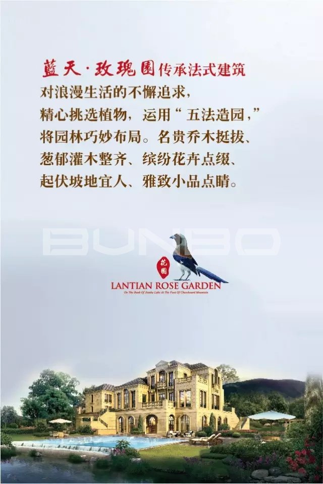 蓝天玫瑰园微信-本埠广告2015年互动传播作品