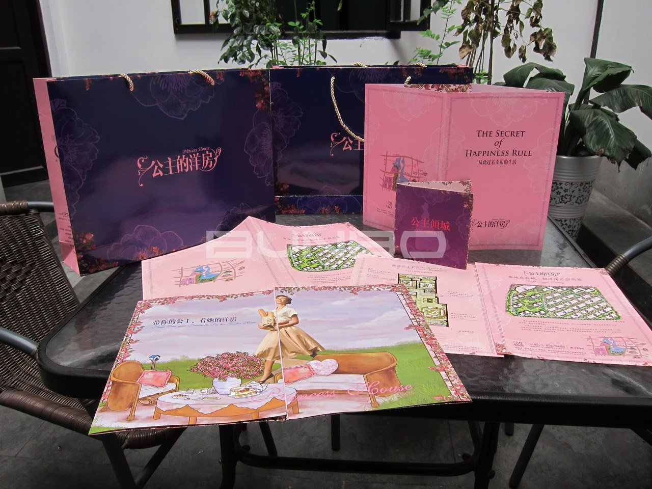 金地公主的洋房出街物料