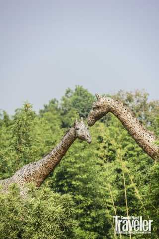 浙江安吉,隐居度假旅游目的地