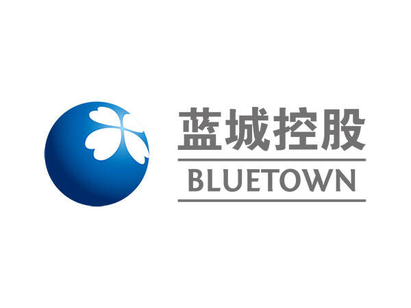 蓝城控股有限公司logo
