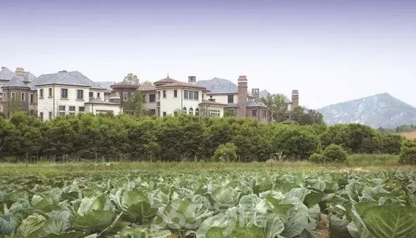 农业产业创新中心——桃源小镇