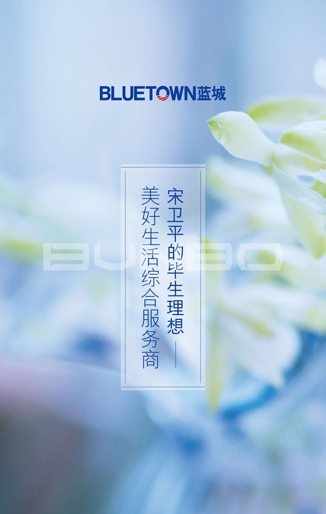 福建蓝城旭日投资有限公司H5介绍