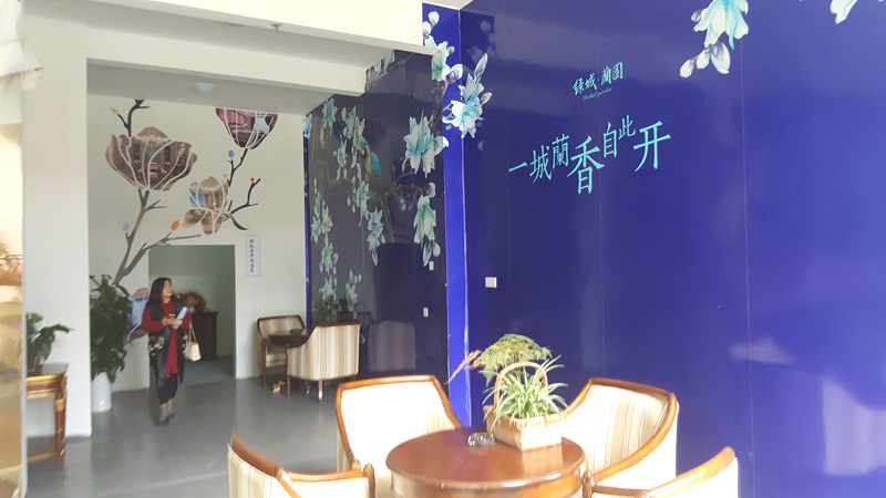 通道实景照片，绿城蘭园样板区现场包装