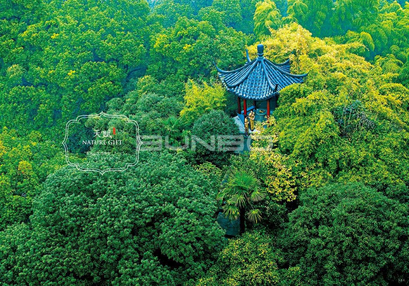 绿城理想小镇安吉桃花源楼书