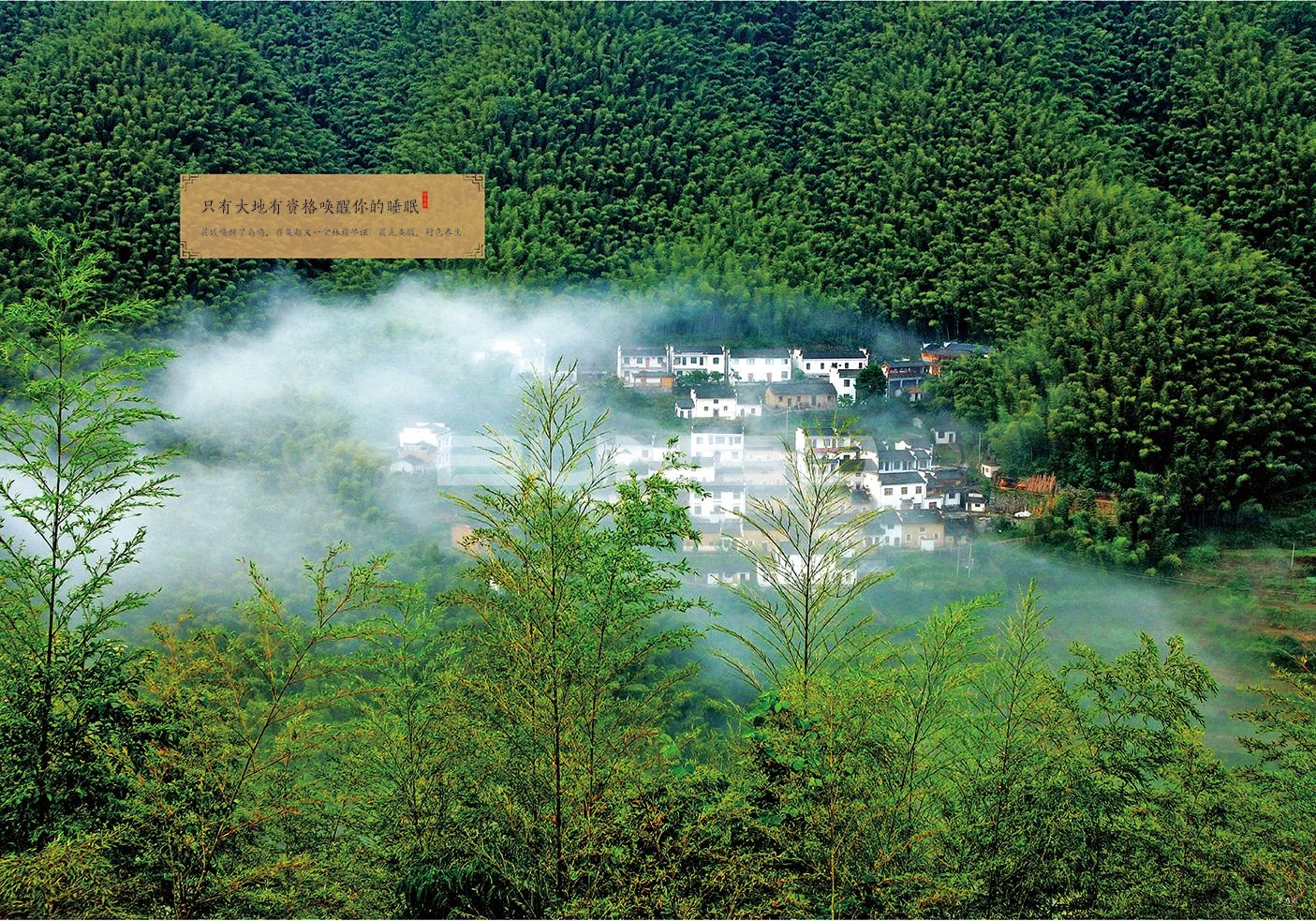 绿城理想小镇安吉桃花源楼书