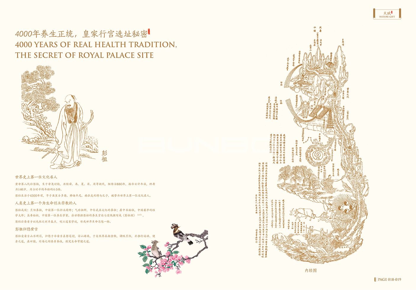 绿城理想小镇安吉桃花源楼书