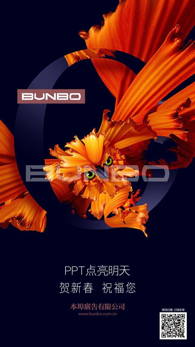 本埠广告2017年新春贺年广告，PPT点亮明天