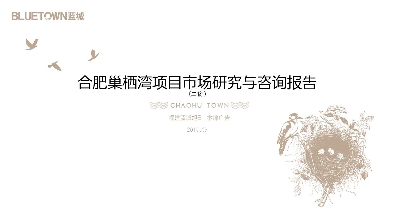 合肥巢栖湾定位策划报告