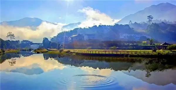 厦门桃李春风地貌实景图