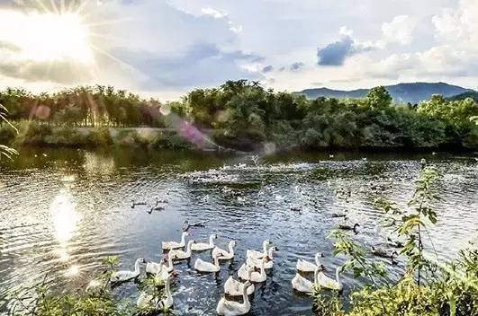 杭州春风长乐地貌实景图