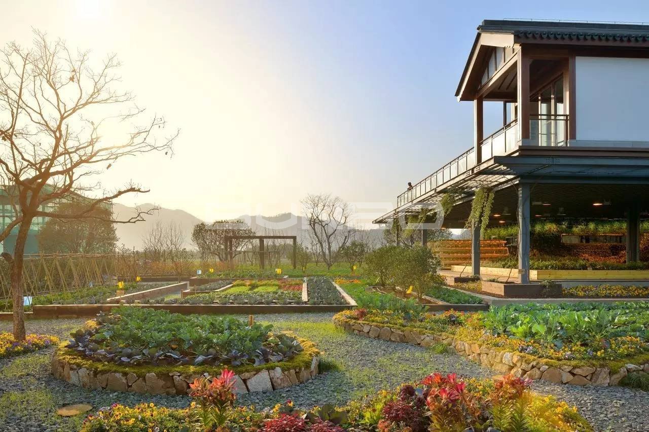 绿城宋卫平“理想小镇”样板农庄