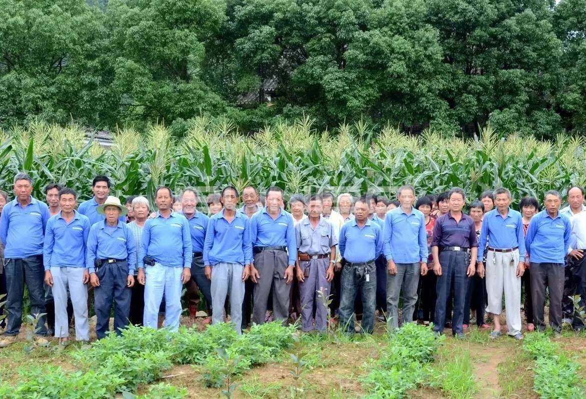 蓝城农业公司在当地已雇佣了260多名“农业工人”